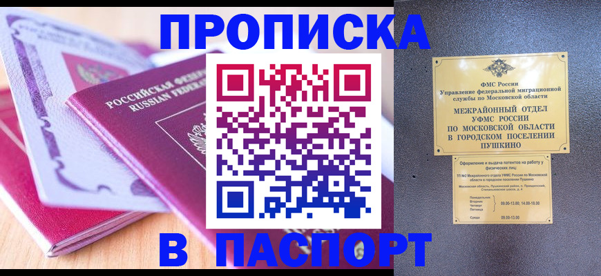 прописка законно в Сураже